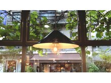 ロッソサンテ(rosso sante)の雰囲気（フランスの田舎のビストロがイメージの大きな飾り窓。）