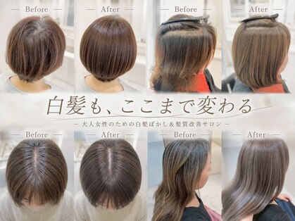 セレスト 心斎橋店(CELESTE)の写真