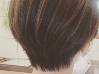 オリーブ(OLIVE)の写真