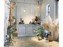 ノラ(Nora)の雰囲気（Noraレセプションは植物と雑貨で溢れています＊季節毎に変化も＊）