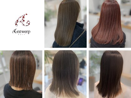 アントワープヘアー(Antwerp hair)の写真