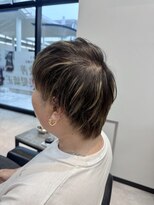 ペッツ プロフェッショナル(PETZ PROFESSIONAL)&nbsp;デザインカラー/メンズハイライト