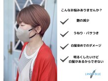 ランダーブルー(LANDER BLUE)