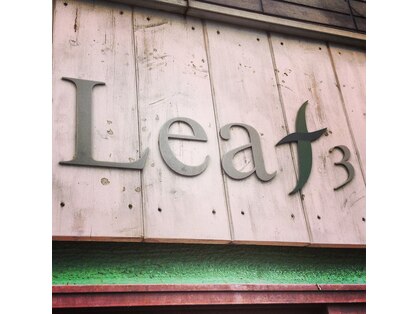 リーフスリー(Leaf3)の写真
