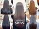スワン(SWAN)の写真