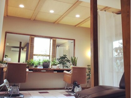 ネバーランド(NEVERLAND)の写真