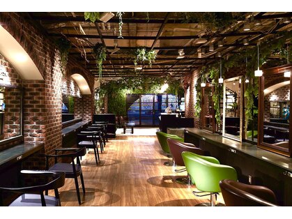 バーシャミ 博多(Baciami)の写真