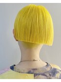 イエローミニボブ