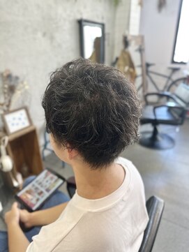 プランツ ヘアサロン(Plants HAIR SALON by GEORGE) 癖毛の方、パーマ風スタイリングヘア◎