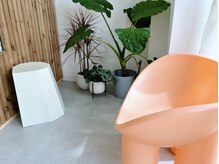ルーム(Luum.)の雰囲気（自然光がよく入る店内では植物もすくすく育ちます^ ^）
