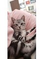 カット&エスティ カミキリ 髪綺里 家の1歳のにゃんこです