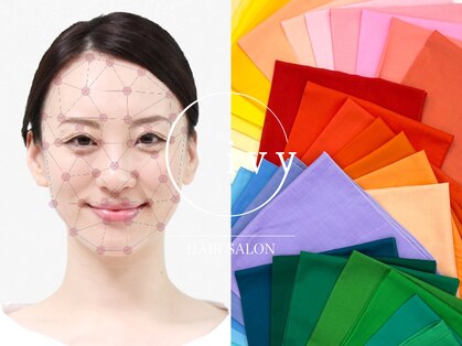 アイビー(ivy)の写真