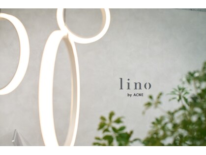 リノバイアクネ(lino by ACNE)の写真