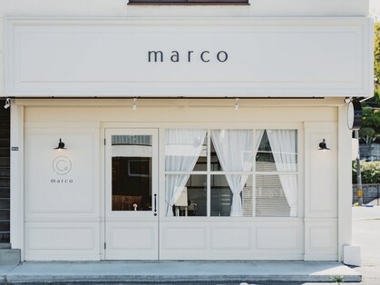 マルコ(marco)の写真