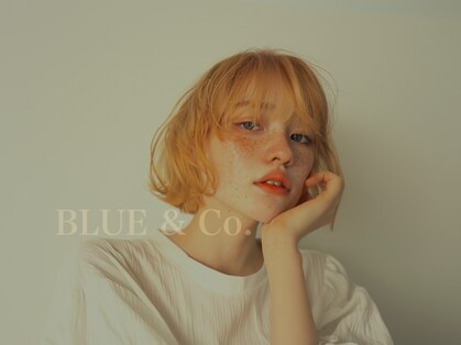 ブルーアンドカンパニー(BLUE&Co.)の写真