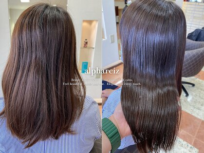 アルファレイズ ヘア ユニット(alphareiz hair unit)の写真