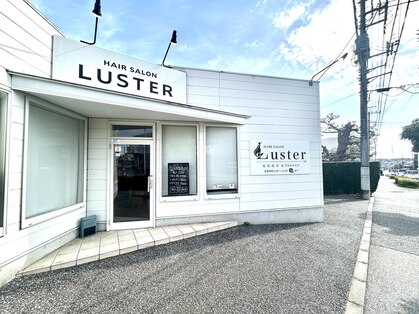 ラスター(LUSTER)の写真