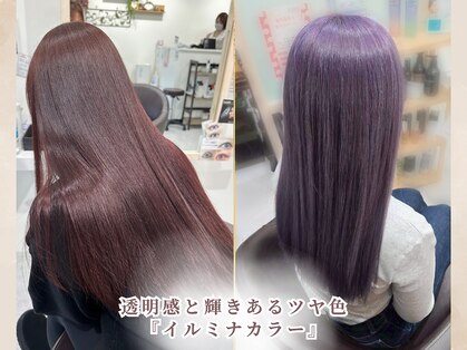 ハコ(HACO)の写真