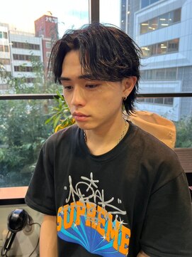 スティーロ 渋谷(Steelo) Steelo  アッシュグレー×ソフトウルフ