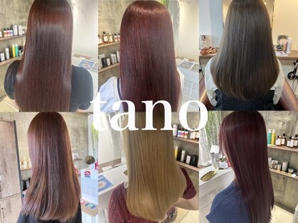 タノ(tano)の写真