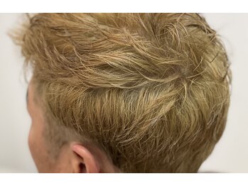 Hair　Creation　Appear