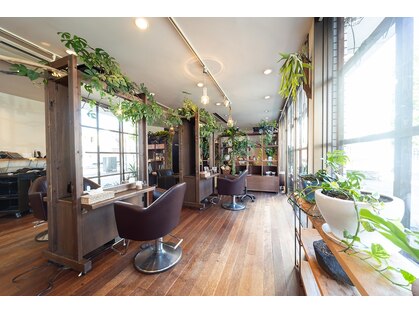 ヘア ライフ デコナ(Hair Life deco na)の写真