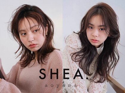 シアアオヤマ 表参道青山(SHEA aoyama)の写真