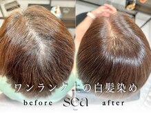 ワンランク上の【傷ませない白髪染め】で大人女性のお悩みを改善