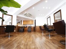 ヘアースニップ(Hair Snip)