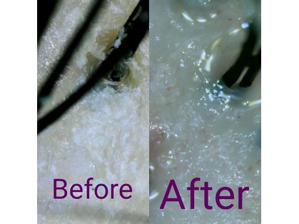 ボーテシェルメール(Beaute Chere Mere)の写真