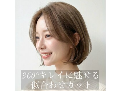 ステラ(Stellar)の写真