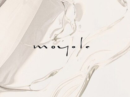 モヨレ(moyole)の写真