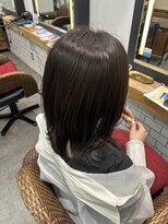 レッドネオ エビス(Redneo ebisu)&nbsp;チョコレートブラウン