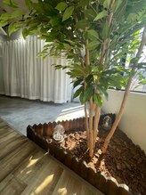 自然光が差し込む店内