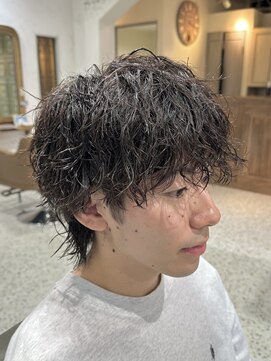 サンバイセライロ 千葉(SAN. by celilo) マッシュウルフ×ツイスパ