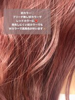 ロックス バイ マグ 松本(rocks BY MAG)&nbsp;イエベ高発色初カラーブリーチ無しダブルカラーレッドカラー