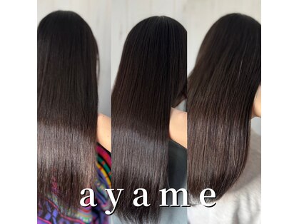 アヤメ(ayame)の写真