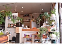 ヘアーデザインギフト(Hair design gift)の雰囲気（みどりの多い落ち着きのある店内）