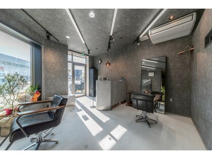 トキ(toki)の写真