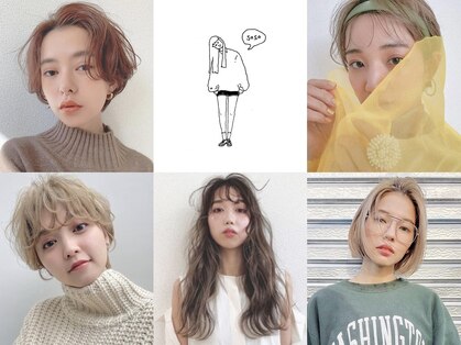 ソソ(soso)の写真