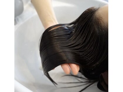 リコ(Rico)の写真