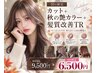【10月限定】カット＋秋の艶カラー＋髪質改善TR  9,500円 → 6,500円