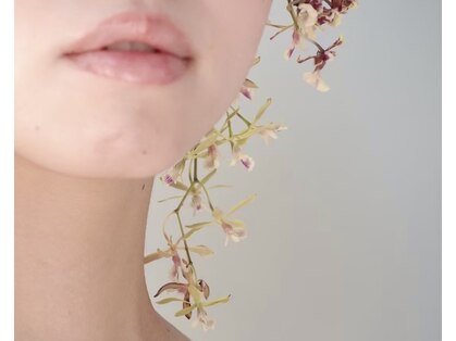 ハク(haku)の写真