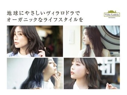 ルー(loup)の写真