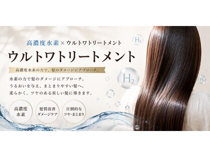 フィッティ(fiti)の写真