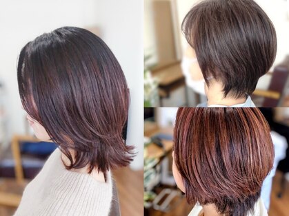 プラント(plant)の写真