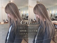 シード 成増 下赤塚店(ced.)