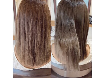 ブギー バイ シェイク(Boogie by shake)の写真