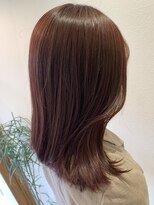 ハブ(hub)&nbsp;【天神今泉】レッドブラウン