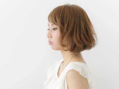 アルス(ars)の写真